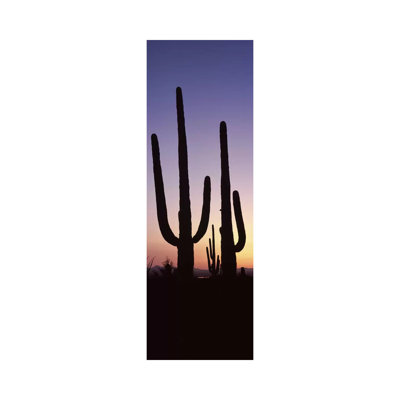 Silhouette Of Saguaro Cacti (Carnegiea Gigantea) On A Landscape, Saguaro National Park - Wrapped Canvas Panoramic Print
