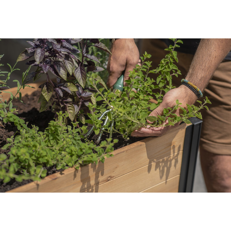 Mezza Cedar Raised Planter, 33.1" H x 31.6" W x 18" D