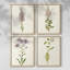 «Mauve Garden Flowers I», ensemble de 4 encadrées-170862069-170862064
