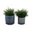 Modern Textured Ceramic Planter with Saucer-1936006861-1936006851
