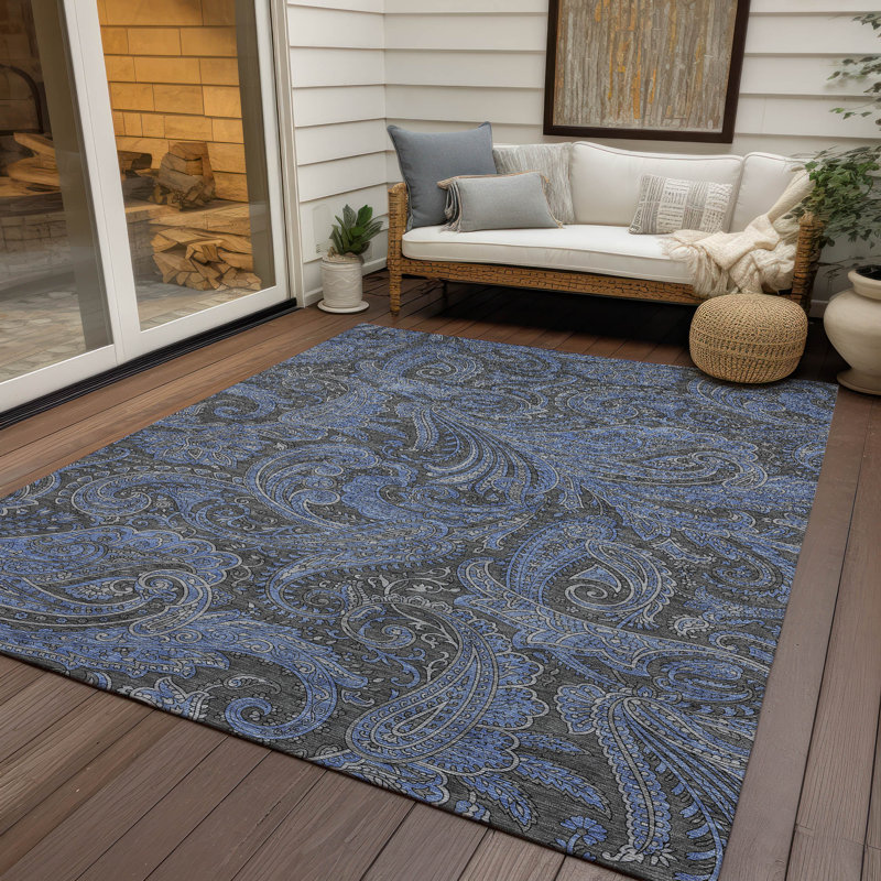 Nayelin Washable Paisley Indoor / Outdoor Rug, Rectangle 10' x 14'