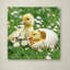 'Easter Chicks' Print on Canvas-21649643