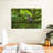 Brampt Mossy Tree Owl-108697617