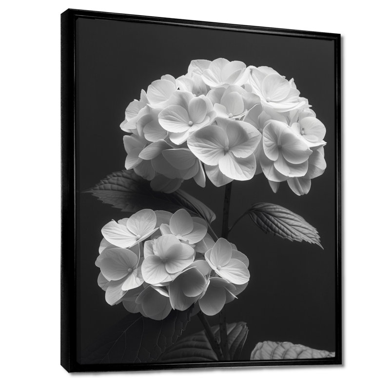 Décoration botanique monochrome hortensia I - hydrangées murales, Cadre flottant noir, H 30 po x l 40 po