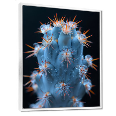 Cactus monochrome orange, bleu, désert, lueur I - cactus floral, salon