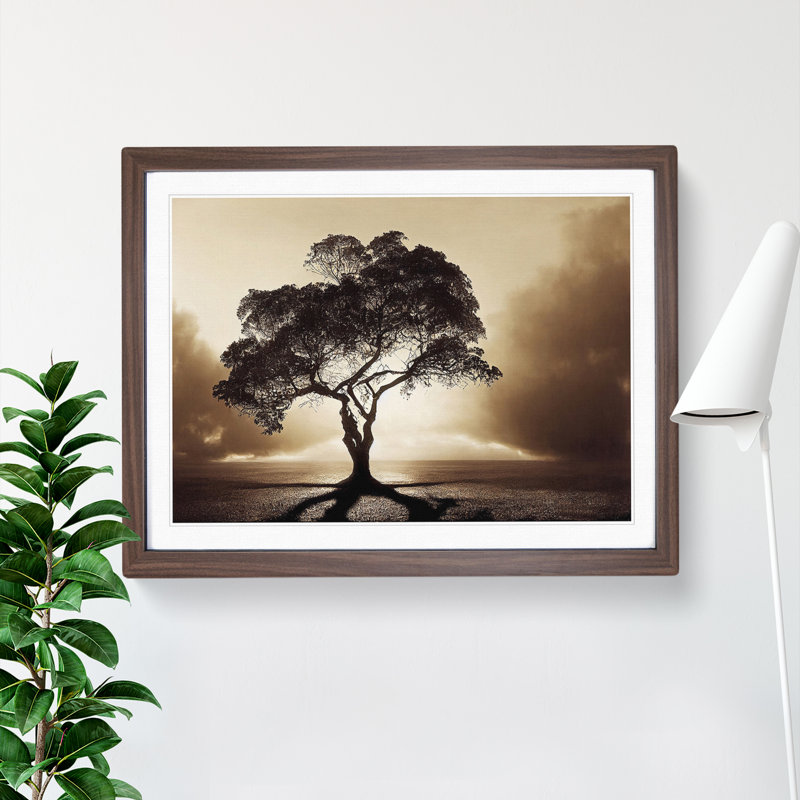 Otherworldly Tree - Single Picture Frame Print, 25cm H x 34cm W x 2cm D, Walnut