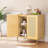 Theo Accent Cabinet