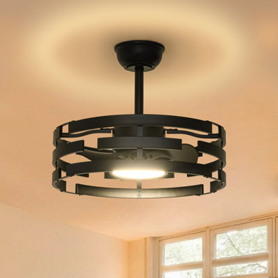 Alva 20" Caged Ceiling Fan with Lights, Farmhouse Fandelier with Remote