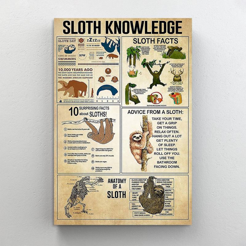 Sloth Knowledge - Wrapped Canvas Graphic Art, 36" H x 24" W x 1.25" D