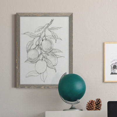 Branche de fruitier I, toile encadrée de qualité supérieure - prête à être accrochée