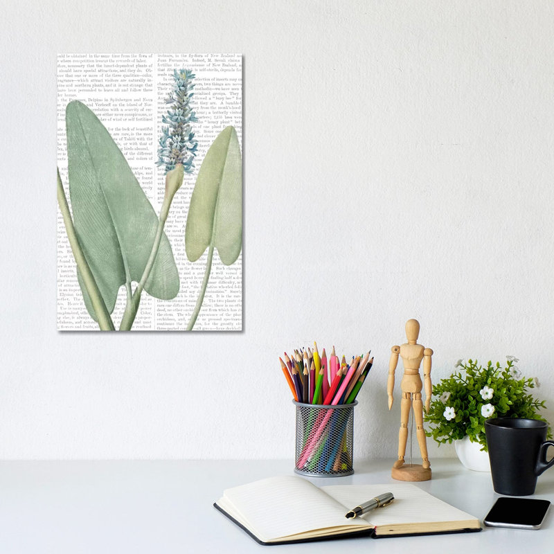 Summer Botanicals IV by Wild Apple Portfolio - Wrapped Canvas Painting, 20.32 cm H x 30.48 cm W