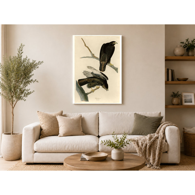 «Black Warrior» (planche 86) - art mural sur toile, 14" W x 11" H