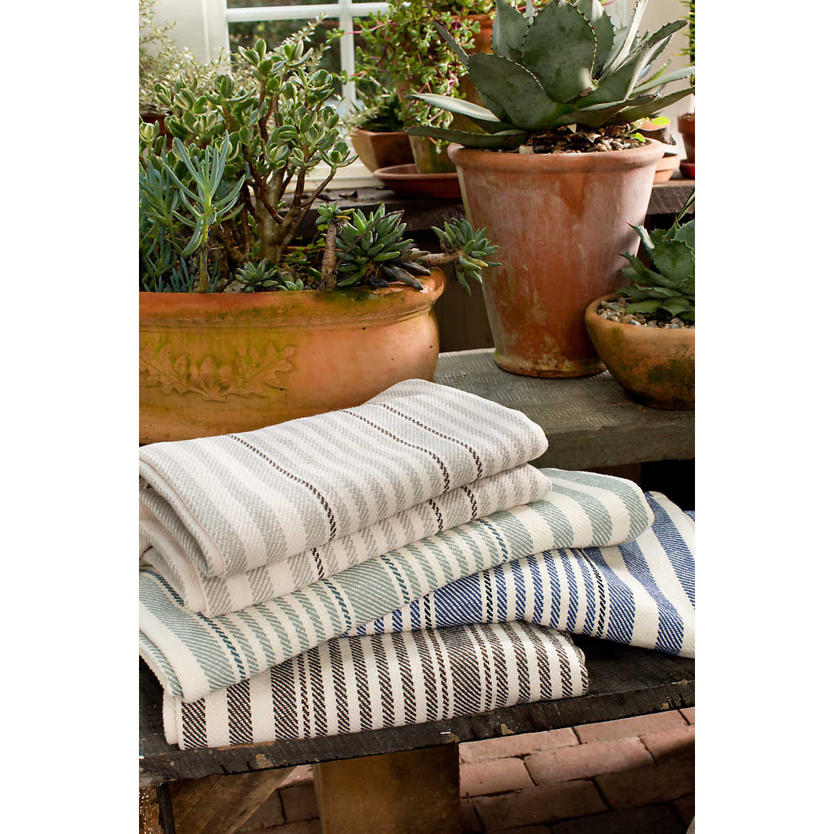 Rugby Throw Blanket