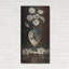 «Daisies In Royal Worchester» par Christopher Pierce, art mural en métal-1002670516