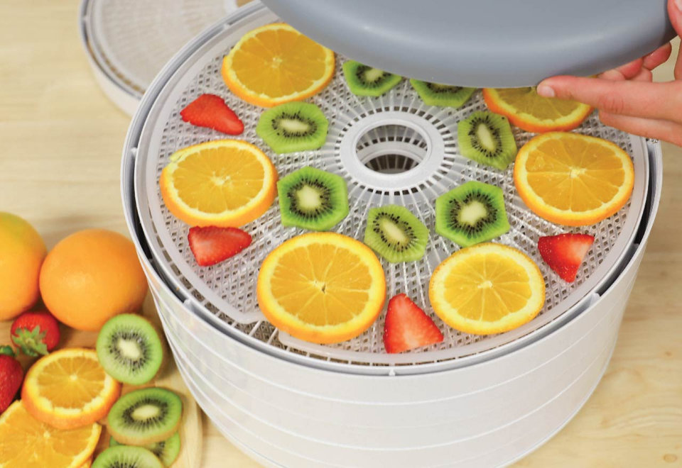 Dehydrators: Fresh, Healthy, and Homemade.
