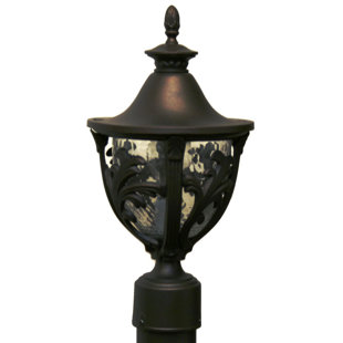 Lantern Head