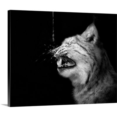 « the shock » par holger droste, reproduction de photo sur toile