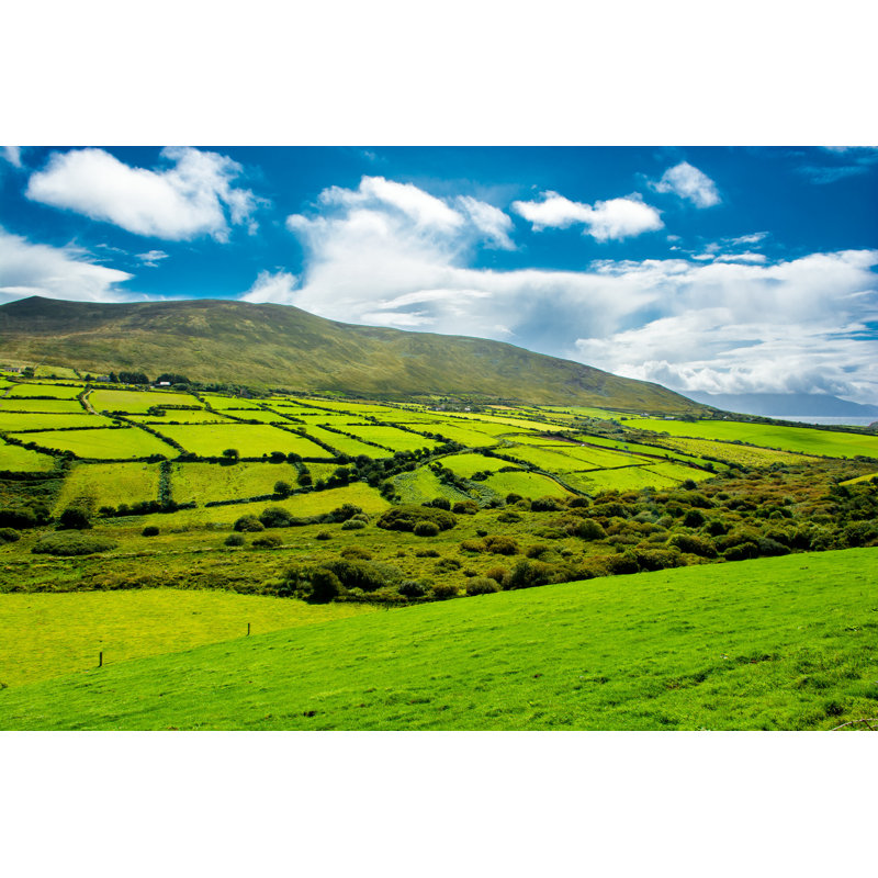 Pastures in Ireland - Photographie sur toile tendue, H 8 po x l 12 po