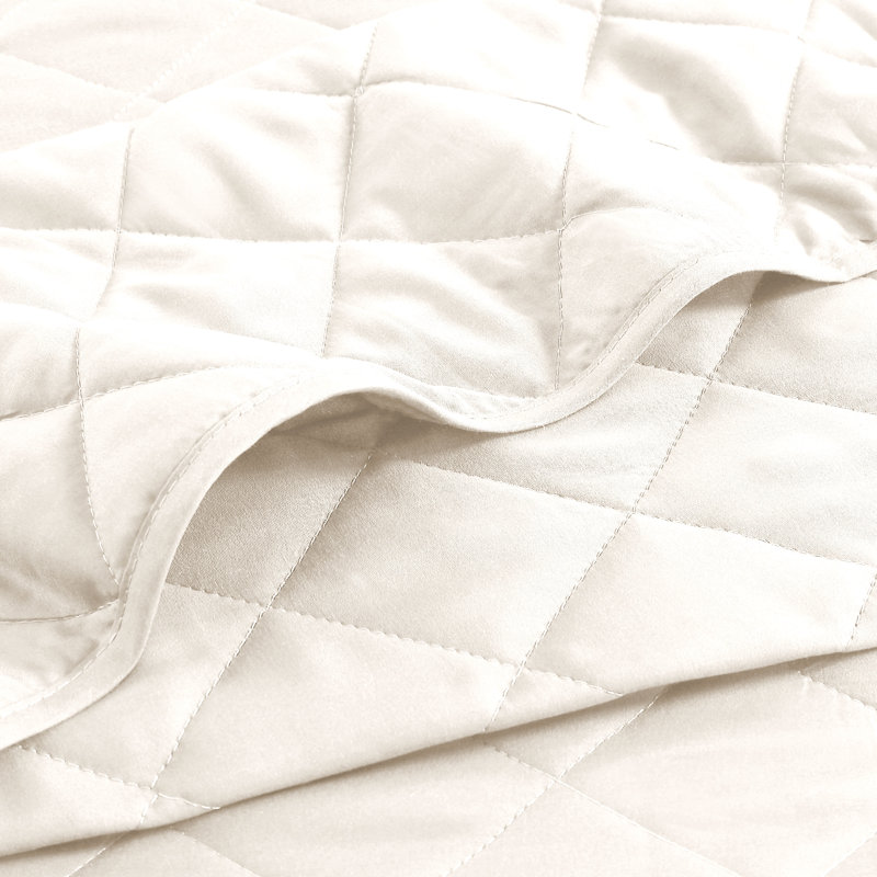 Wayfair Basics® Microfiber Reversible Diamond Quilt Set, Coconut Milk, Twin/Twin XL Quilt + 1 Standard Sham