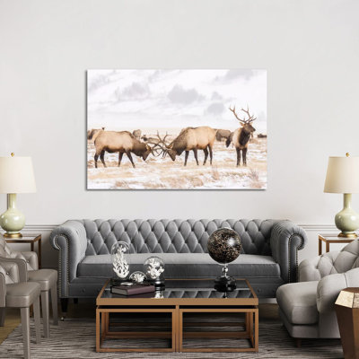 USA Wyoming National Elk Refuge Bull Elks Fighting In Winter by Jaynes Gallery - Wrapped Canvas Painting