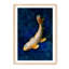 Butterfly Koi - Picture Frame Photograph on Paper -74856156-87886673