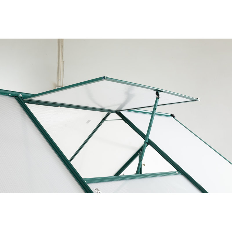 Serre d'extérieur Green-6 x 8 pi