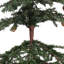 Sapin de Noël pré-éclairé Eastport-1405409098-1431522804
