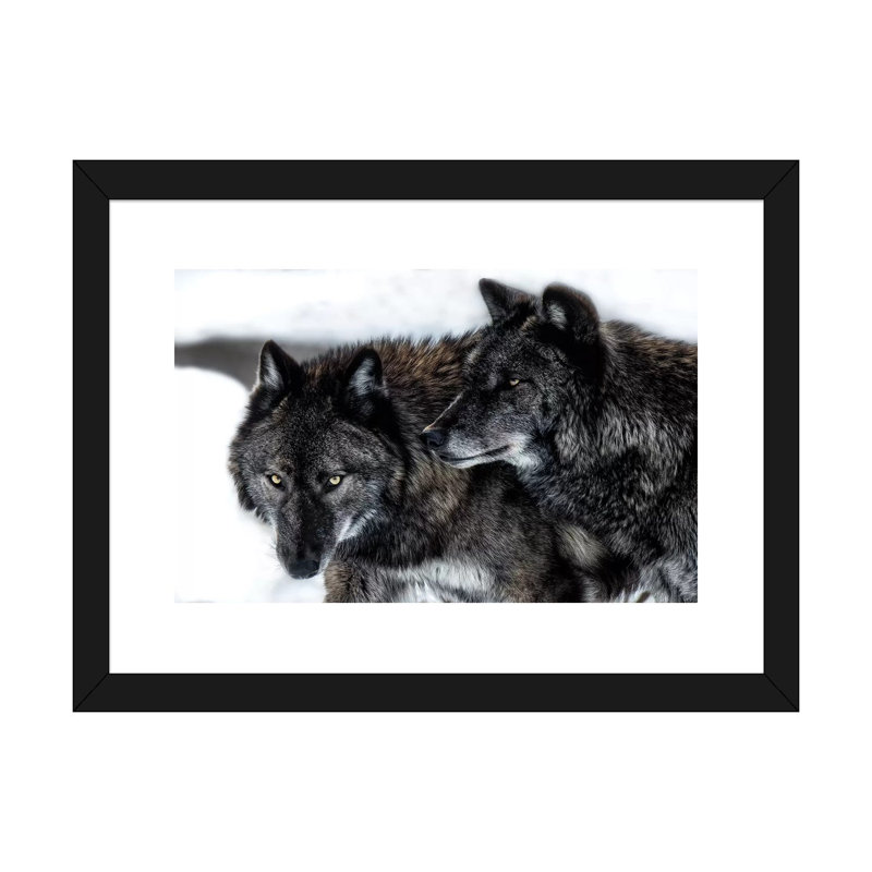 « Brothers » par David Gardiner, reproduction de photo, H 16 po x l 24 po x P 1 po, Blanc, Papier encadré noir