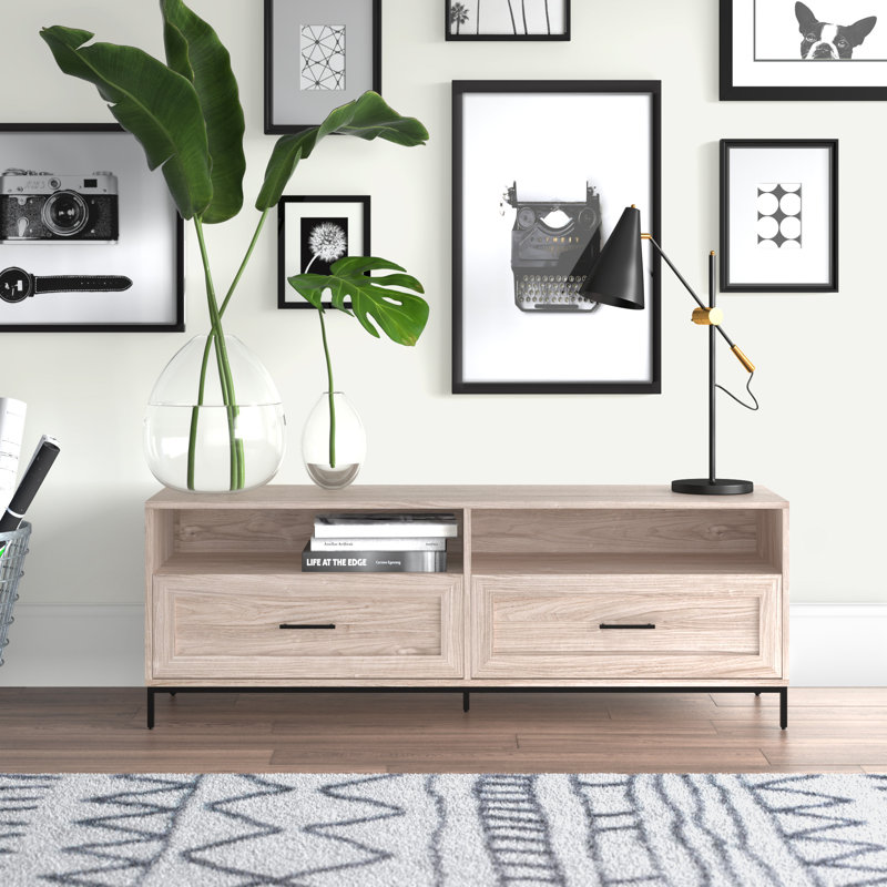 Braxten 58" 2-Drawer TV Stand for TVs up to 60", Birch