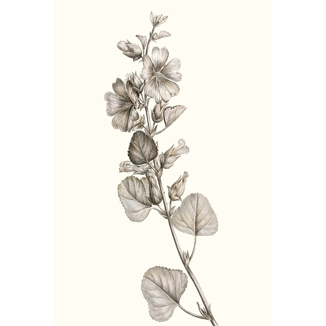 Leinwandbild Neutral Botanical Study I von Vision Studio