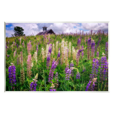 Wild Lavender Field Grassland by Sally Swatland - Photograph