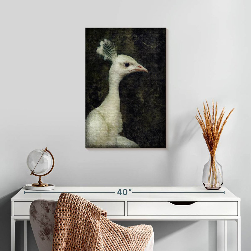 Brampt White Peacock, 24" H x 16" W