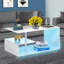 Hicklin Floor Shelf Coffee Table with Storage-100897000