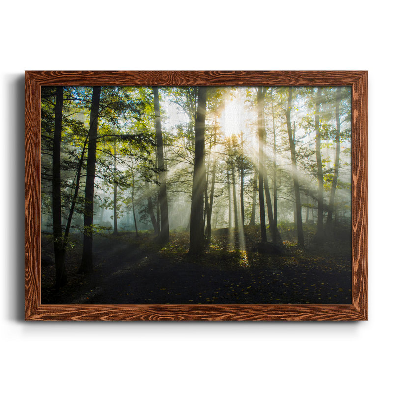 Lumière et arbres - Toile encadrée de qualité supérieure - prête à être accrochée, H 24 po x l 18 po x P 1,5 po, Érable