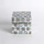 Mother of Pearl Box-Sm
