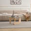 Petite table basse, centre de table de salon-2047621595-2047621589