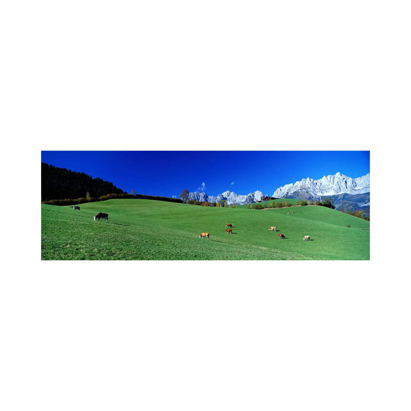 Cattle Graze In Alps Wilder Kaiser Going Austria - Wrapped Canvas Panoramic Print, 182.88 cm H x 60.96 cm W