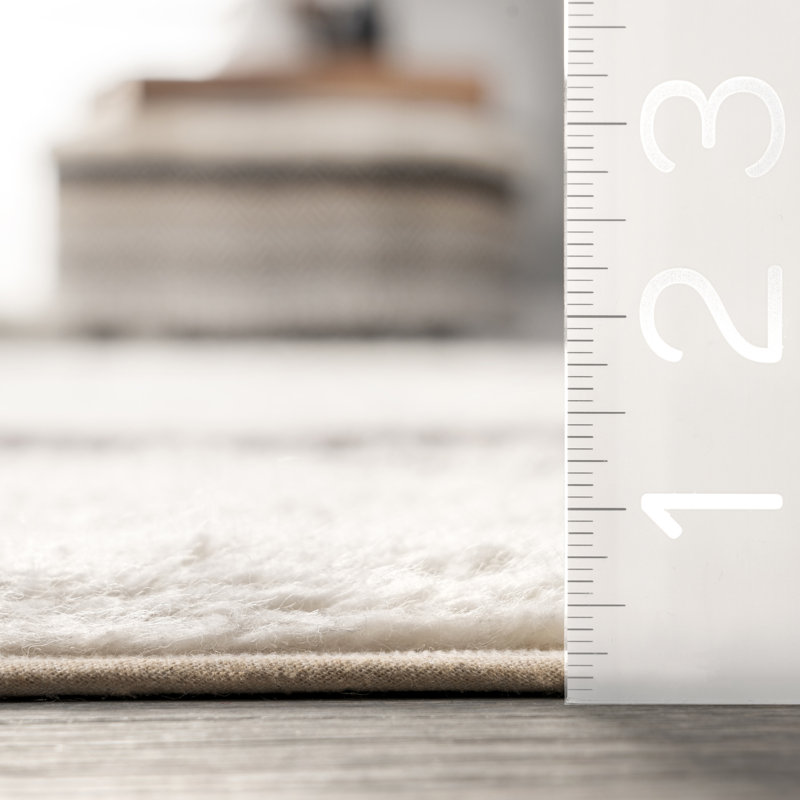 Striped Wool Machine Washable Area Rug, Rectangle 4' x 6'