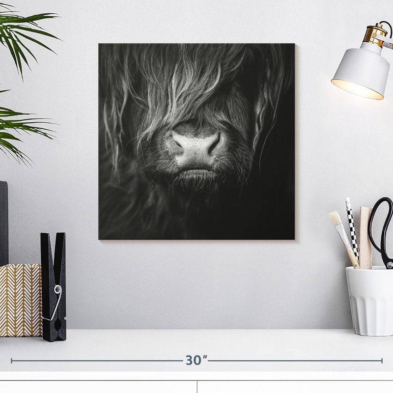 Visage de vache Brampt Highland, H 16 po x l 16 po