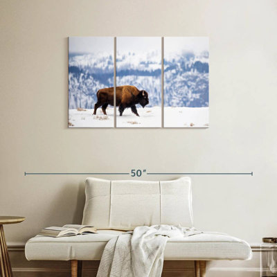 Bison d'Amérique Brampt en hiver