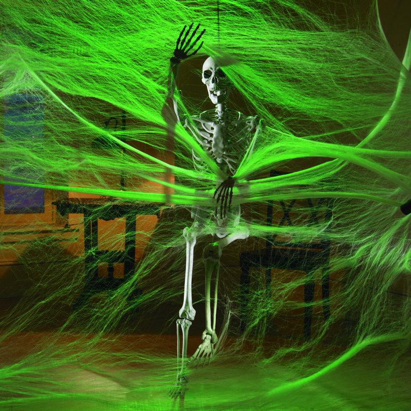 Life-Size Posable Skeleton Halloween Decoration in Plastic