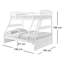 Elula Single (3') 2 Drawer Standard Bunk Bed-37828741