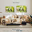 Ronce de colibris de l'Équateur-108869394