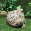 Statue de jardin classique "Lou" Toad Hollow-801408085