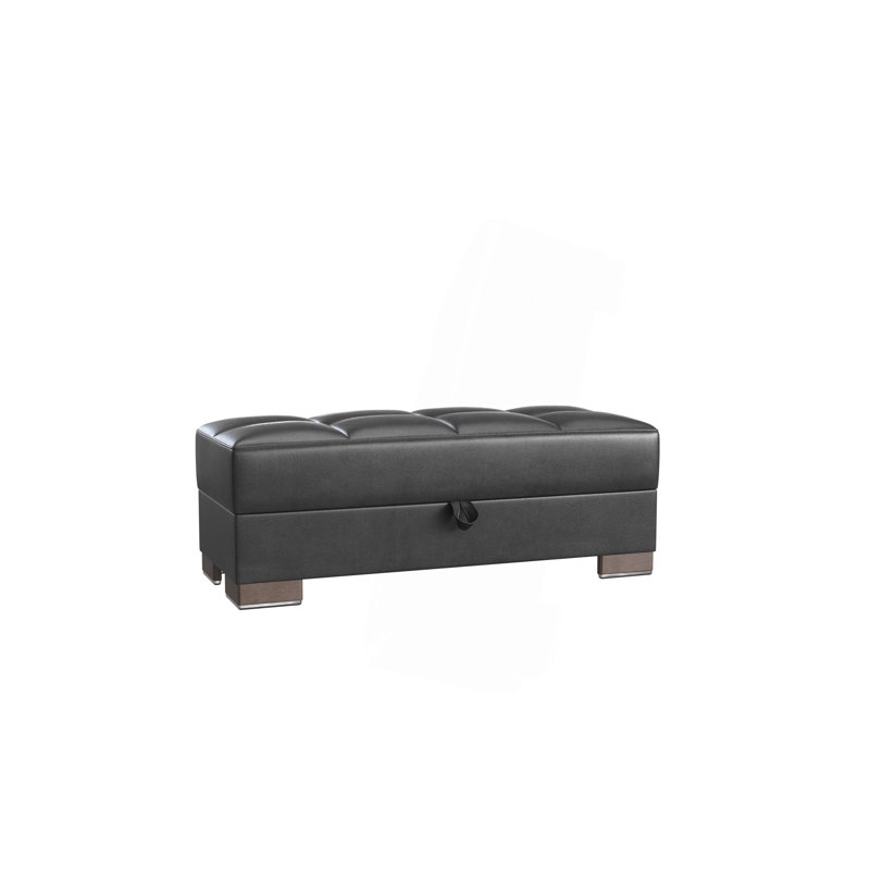 Collection Repose-pieds rembourré avec rangement (SEULEMENT OTTOMAN), Polyuréthane noir