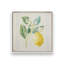 Zesty Little Sunshine, ensemble de 2 impressions-568304937-568304980-568304990