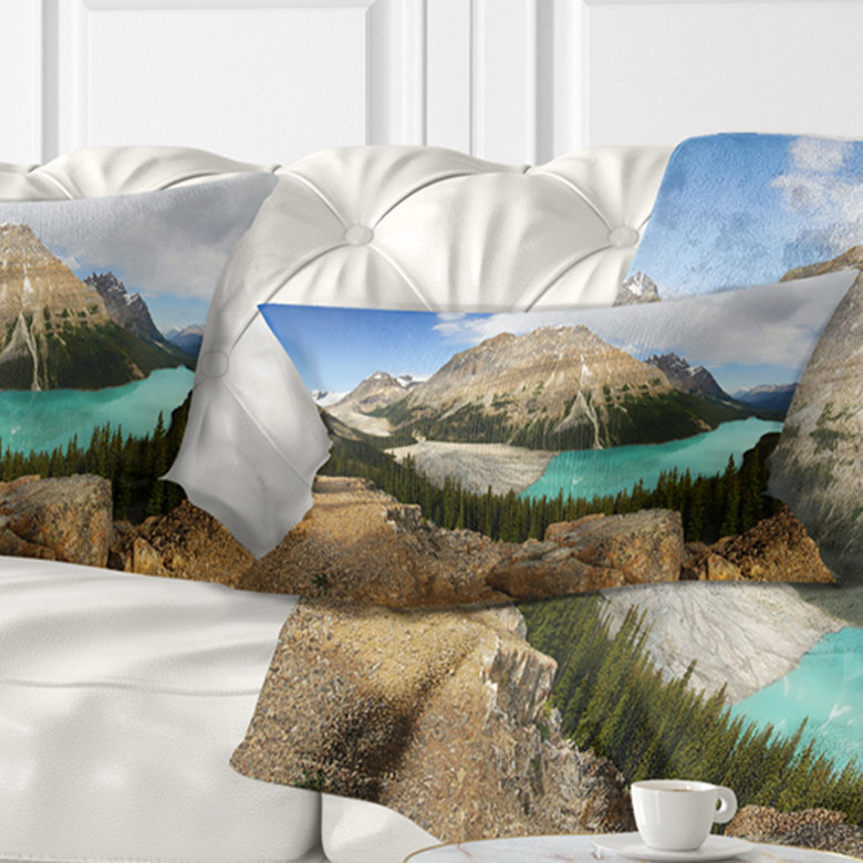 Coussin lombaire Schaer