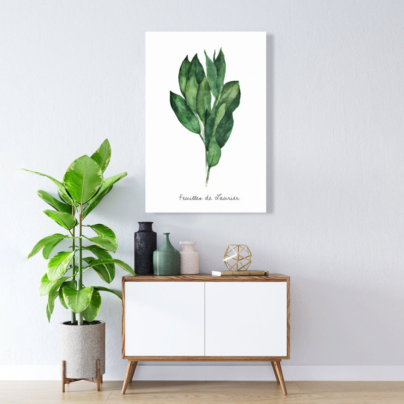 Ensemble de feuilles de laurier - Fr | Toile de cuisine alimentaire pour la décoration intérieure