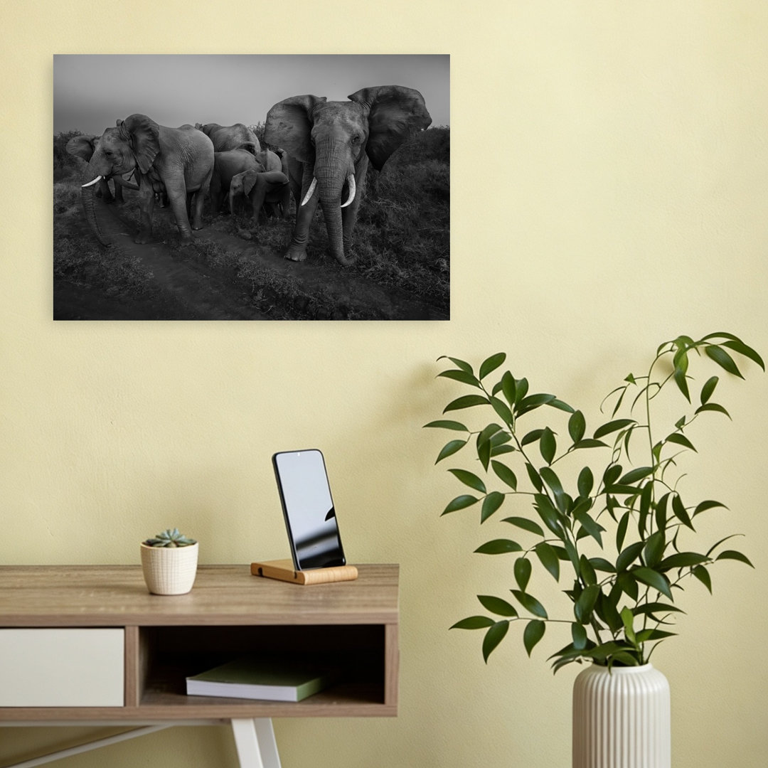 Wild Elephant Herd Dramatic Contemporary Elephant Landscape Nature Wall Art Print