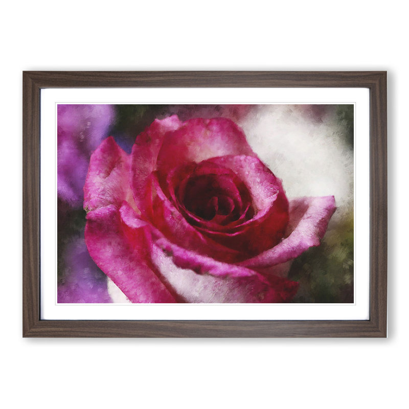 Pink Rose Flower Vol.7 - Framed Print, 48cm H x 65cm W x 2cm D, Walnut Framed